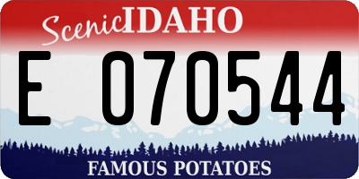 ID license plate E070544