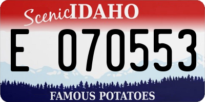 ID license plate E070553