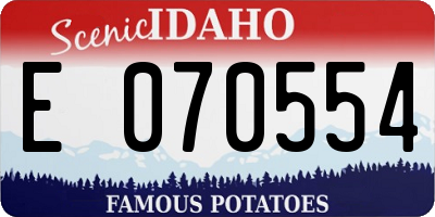 ID license plate E070554