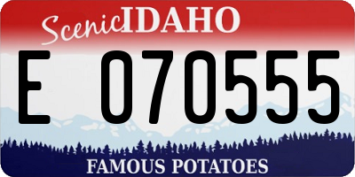 ID license plate E070555