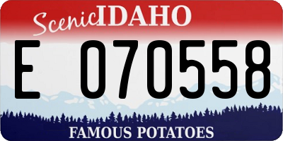 ID license plate E070558