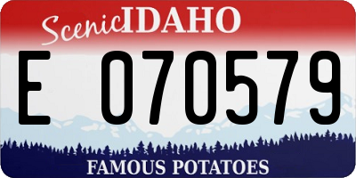 ID license plate E070579