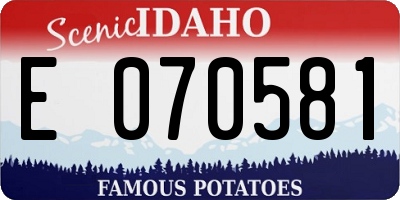 ID license plate E070581