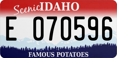 ID license plate E070596