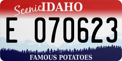 ID license plate E070623