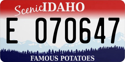 ID license plate E070647