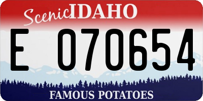 ID license plate E070654