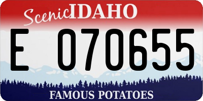 ID license plate E070655