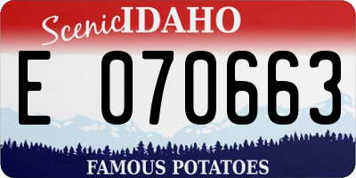 ID license plate E070663
