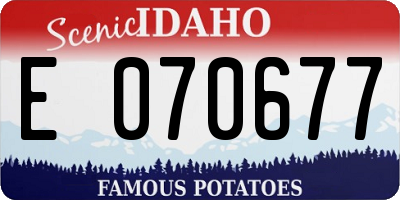 ID license plate E070677