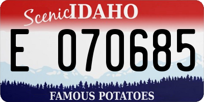 ID license plate E070685