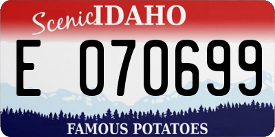 ID license plate E070699