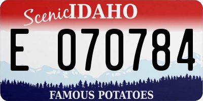 ID license plate E070784