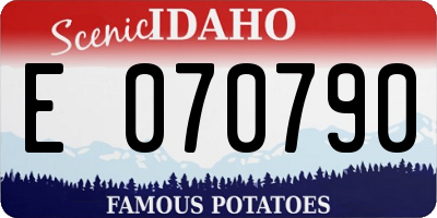 ID license plate E070790