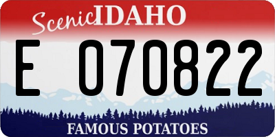 ID license plate E070822