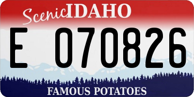 ID license plate E070826