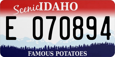 ID license plate E070894