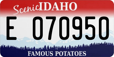 ID license plate E070950