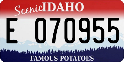 ID license plate E070955