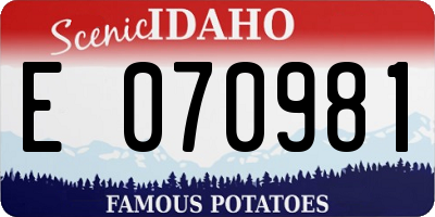 ID license plate E070981