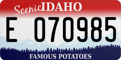ID license plate E070985