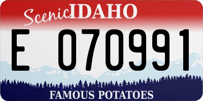 ID license plate E070991