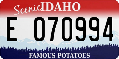 ID license plate E070994