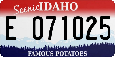 ID license plate E071025