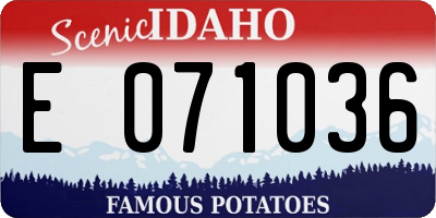 ID license plate E071036