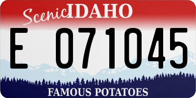 ID license plate E071045