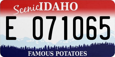 ID license plate E071065