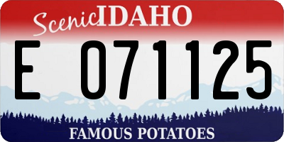 ID license plate E071125