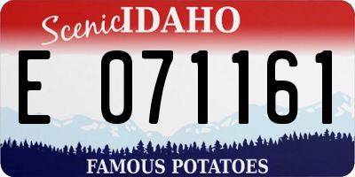 ID license plate E071161