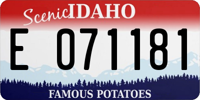 ID license plate E071181