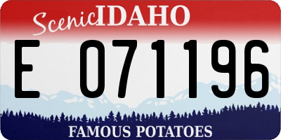 ID license plate E071196