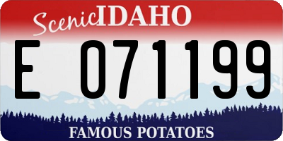 ID license plate E071199