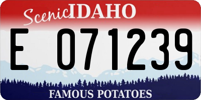 ID license plate E071239