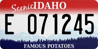 ID license plate E071245