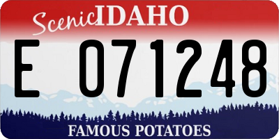 ID license plate E071248