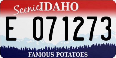 ID license plate E071273
