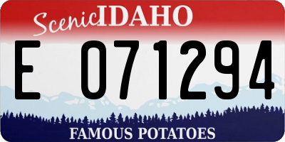 ID license plate E071294