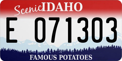 ID license plate E071303
