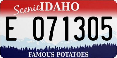 ID license plate E071305