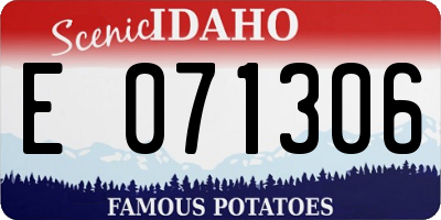 ID license plate E071306