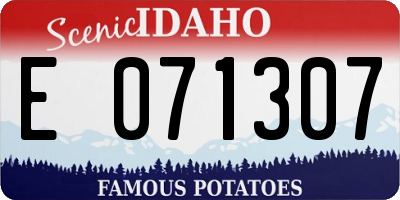 ID license plate E071307