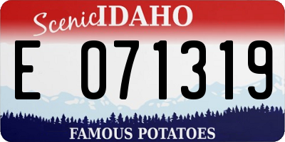 ID license plate E071319