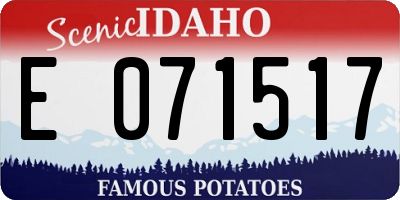 ID license plate E071517