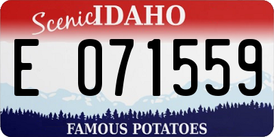 ID license plate E071559