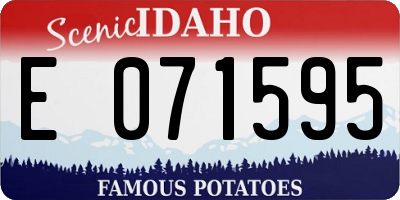 ID license plate E071595