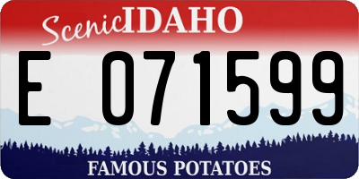 ID license plate E071599
